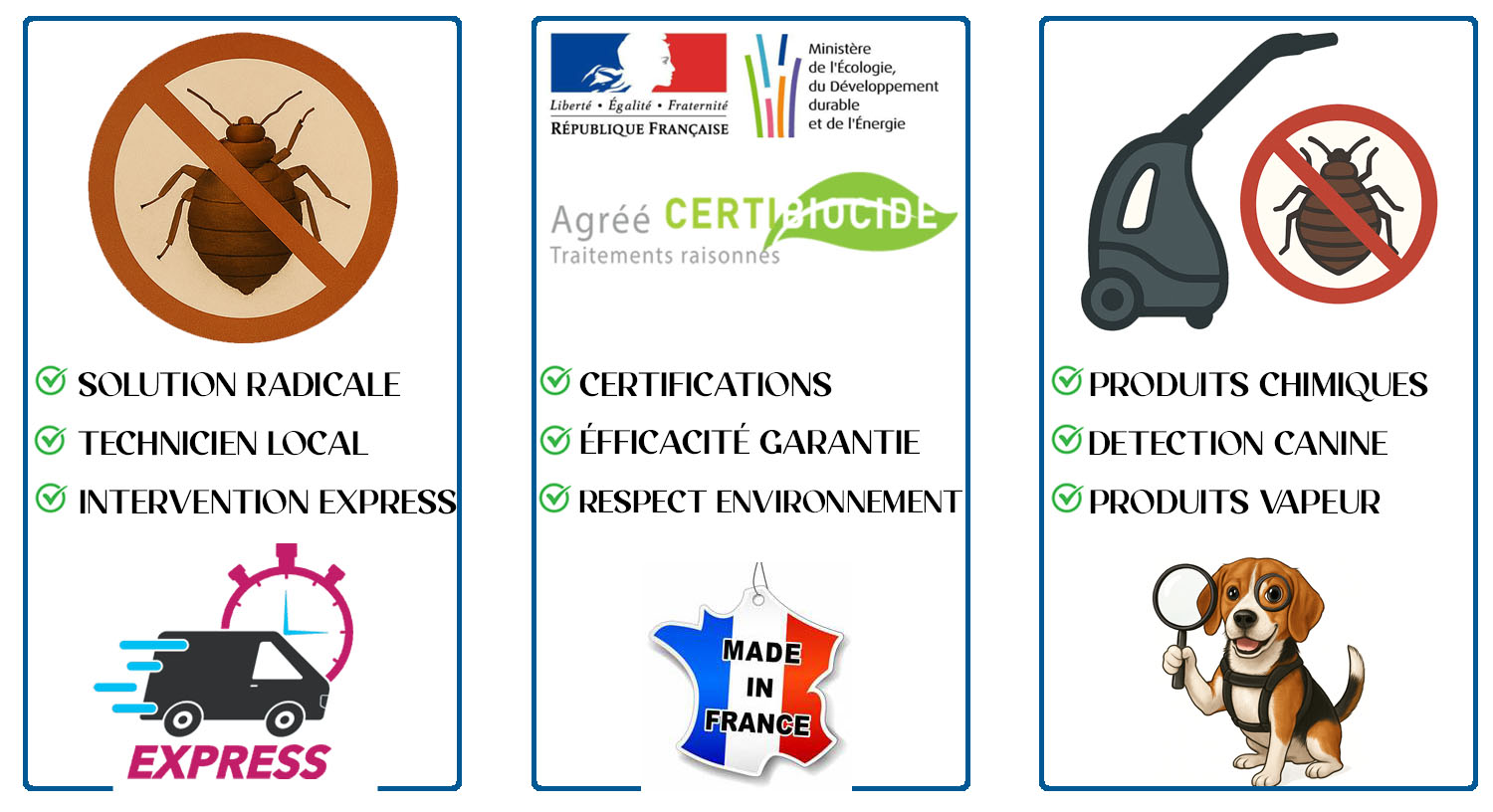 Punaises de Lit Saint Germain en Laye