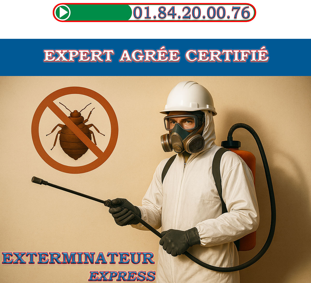 Punaises de Lit Saint Germain en Laye